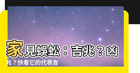 看到蜈蚣代表|【看到蜈蚣代表什麼】蜈蚣出沒驚魂！看到蜈蚣代表什麼吉凶預。